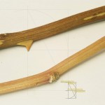 2008-rosenstengel-als-vorlage